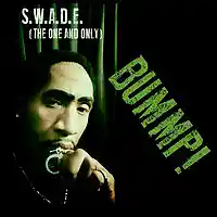 Picture for song 'BUMMP!-(DADDY MIX!)' by artist 'S.W.A.D.E. (THE ONE AND ONLY)'