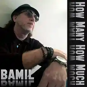Picture for song 'How Many How Much' by artist 'BAMIL'
