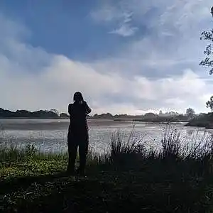 Picture for song 'Standing Tall' by artist 'BenJee'