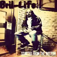 Picture for song ' started from the bottom ' by artist 'BriL-Life'