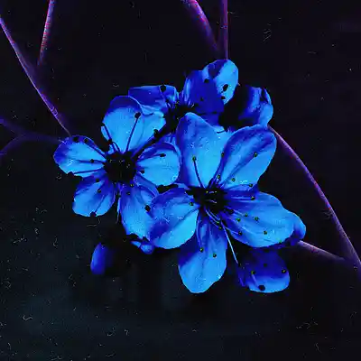 Picture for song 'nekupitsya (prod. by DML) /Beats' by artist 'DML'