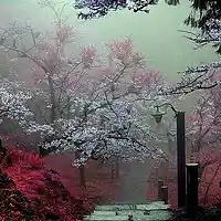 Picture for song 'I'm On ' by artist 'Griffin Of The Evloution'