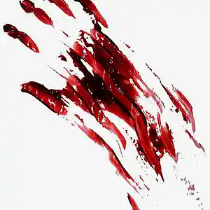 Picture for song 'Bloody End' by artist 'Huncho Gold'