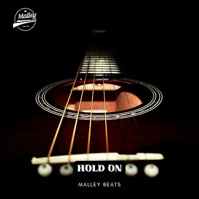 Picture for song 'HOLD ON [MORGAN WALLEN COUNTRY TYPE BEAT]' by artist 'Malley Beats'