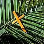 Picture for song '130324 Palm Sunday' by artist 'St Johns Church Sermons'