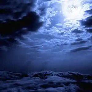 Picture for song 'totally' by artist 'abiliphy'