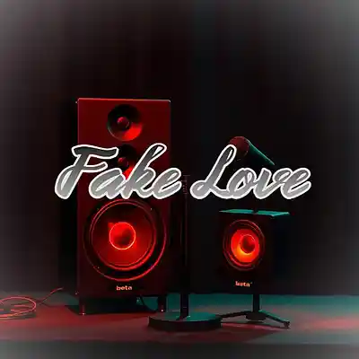 Picture for song 'Fake Love' by artist 'Anac On The Beat'