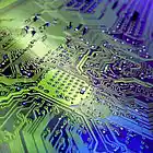 Picture for song 'All Circuits Are Buzzy' by artist 'Bill LeCato'