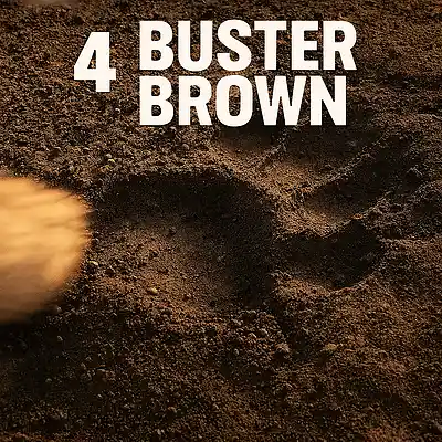 Picture for song '4 Buster Brown' by artist 'EL-Pero'