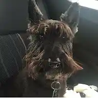 Picture for song 'Otherside 144203' by artist 'foursticks'