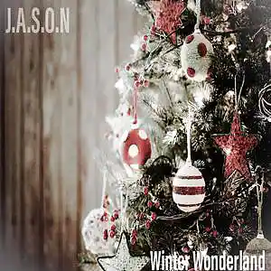 Picture for song 'Winter Wonderland' by artist 'J.A.S.O.N Band'