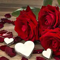 Picture for song 'howling love' by artist 'Michal Jonca'