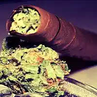 Picture for song 'Pot Head' by artist 'Murder Mafia'