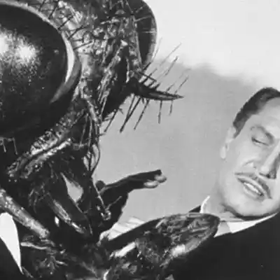 Picture for song 'The Fly Theme' by artist 'Previous Signs of Decay'
