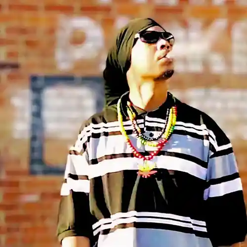 Picture for song 'On Da Low' by artist 'S-Five Productionz LLC'