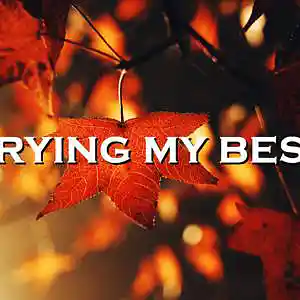 Picture for song 'Trying My Best' by artist 'SadGlad Music'