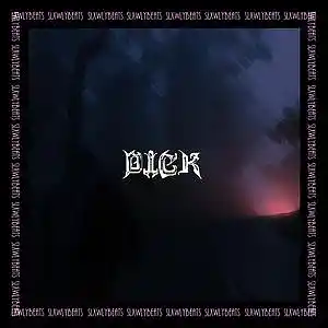 Picture for song '[FREE] KILLSTATION Type Beat - DICK' by artist 'SXLWLY'