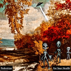 Picture for song 'Comfort' by artist 'For Your Health'