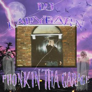 Picture for song 'All I See Is Blood' by artist 'DJ Ladybarn'