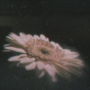 Picture for song 'DREAM GIRL // $NOT X LIL BUBBLEGUM TYPE BEAT' by artist 'AC!D'