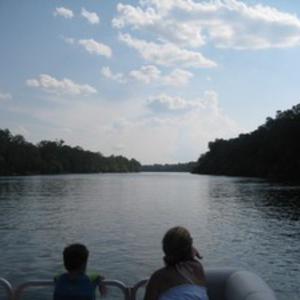 Picture for song 'Walk On the Wild Side' by artist 'Combo Rockers'