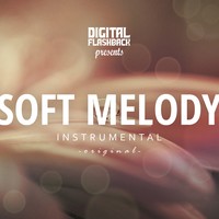 Picture for song 'Soft Melody ' by artist 'Digital Flashback Beats'