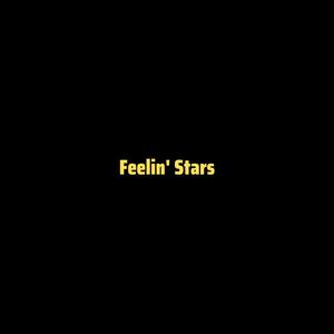 Picture for song 'Feelin' Stars - Nardo Wick Type Beat' by artist 'DJ Mauri B'