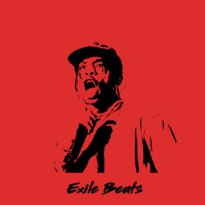 Picture for song 'Night Show (buy 1 get 4 free)' by artist 'Exile Beats'