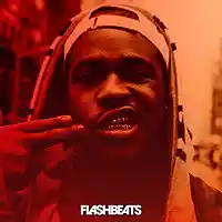 Picture for song 'Luxury' by artist 'FlashBeats.net'