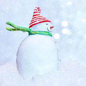 Picture for song 'Story Of A Snowman' by artist 'FAEDYS'