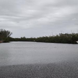 Picture for song 'amgrinpiano' by artist 'motownmutt'