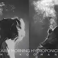 Picture for song 'Early Morning Hydroponics' by artist 'Mr.Kooman'