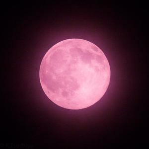 Picture for song 'Moon' by artist 'pandamusic'