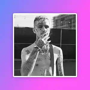 Picture for song 'Leaf' by artist 'Xmnondatrack'