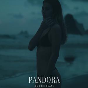 Picture for song 'Pandora PARTYNEXTDOOR x Alternative R&B Type Beat' by artist 'Quodis'