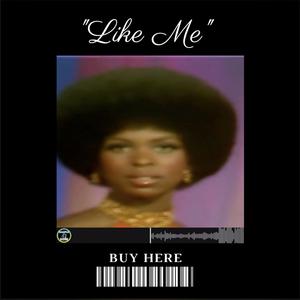 Picture for song 'Like me' by artist 'SampleDose'