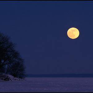 Picture for song 'Frozen Lake and a Full Moon (Action Bronson Type)' by artist 'SoupBeats'
