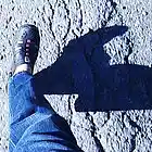 Picture for song 'Fantasy of my way' by artist 'Suzanne Nowakowski'