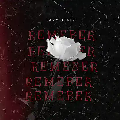 Picture for song 'Remeber' by artist 'TAVY BEATZ'