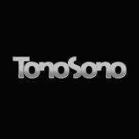 Picture for song 'Clueso - Gewinner (TonoSono Remix)' by artist 'TonoSono'