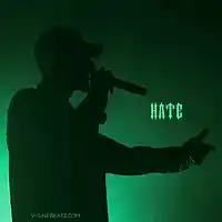 Picture for song 'Hate (Buy 1 Get 1-3 FREE)' by artist 'V-Sine Beatz'