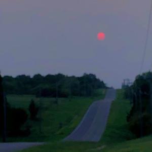 Picture for song 'Halloween Type Beat - "Underrated"' by artist 'wheyliese'