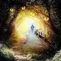 Picture for song 'Bet It's Like Magic' by artist 'Bodetoad'