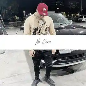 Picture for song 'No Sense (BigWalkDog Type Beat) - Devezin.com' by artist 'Devezin'