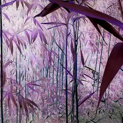 Picture for song 'boner' by artist 'Err0r'