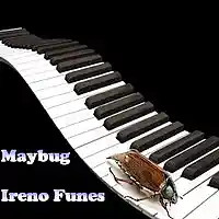 Picture for song 'Maybug' by artist 'Ireno Funes'