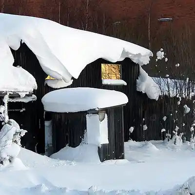 Picture for song 'ginger' by artist 'jaed'