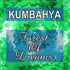 Picture for song 'Korg Wonders 2' by artist 'Kumbahya'