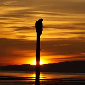 Picture for song 'You own the sun' by artist 'Mattila'