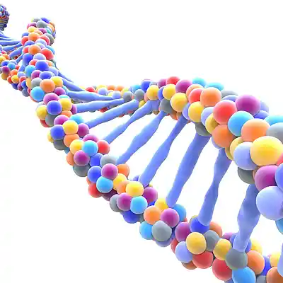 Picture for song 'DNA' by artist 's9undV1ZNZ K 0 D 3 7'